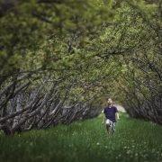 Restoring the Sanctity of Forest: Plant a Caretaker