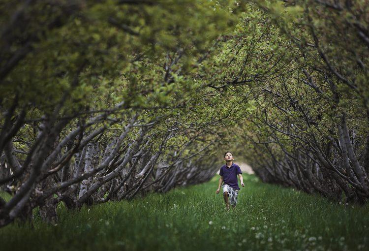 Restoring the Sanctity of Forest: Plant a Caretaker