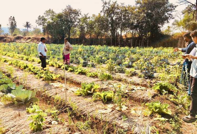 Support Farmers Livelihood