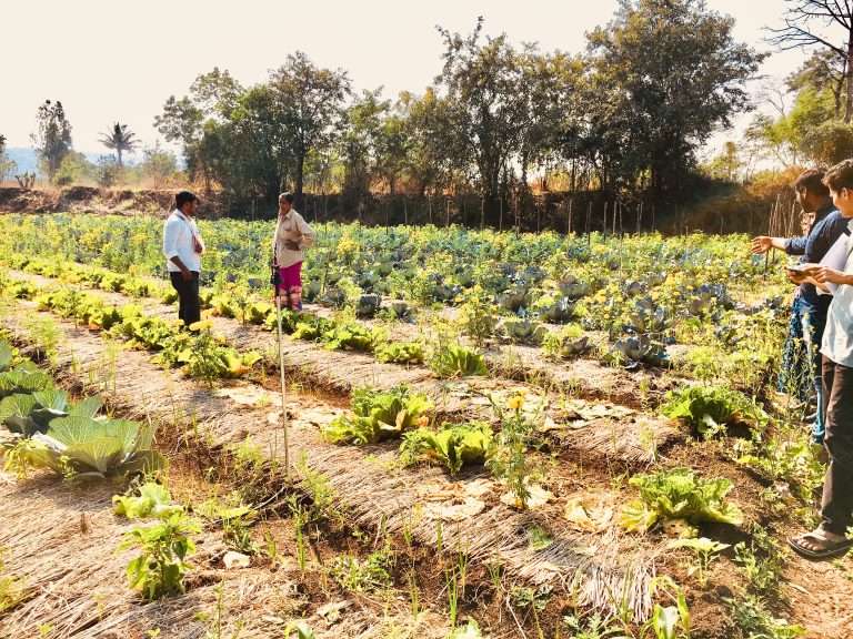 Support Farmers Livelihood