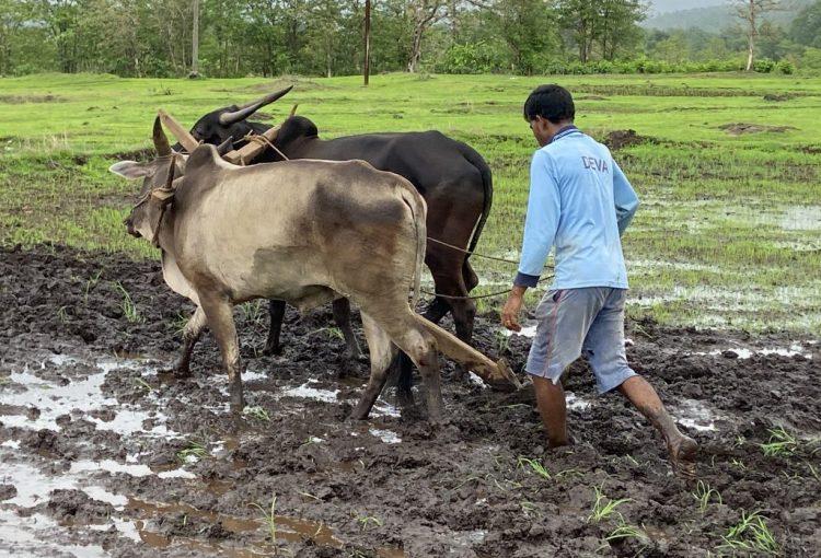 Appreciating Their Contribution On Farmers’ Appreciation Day