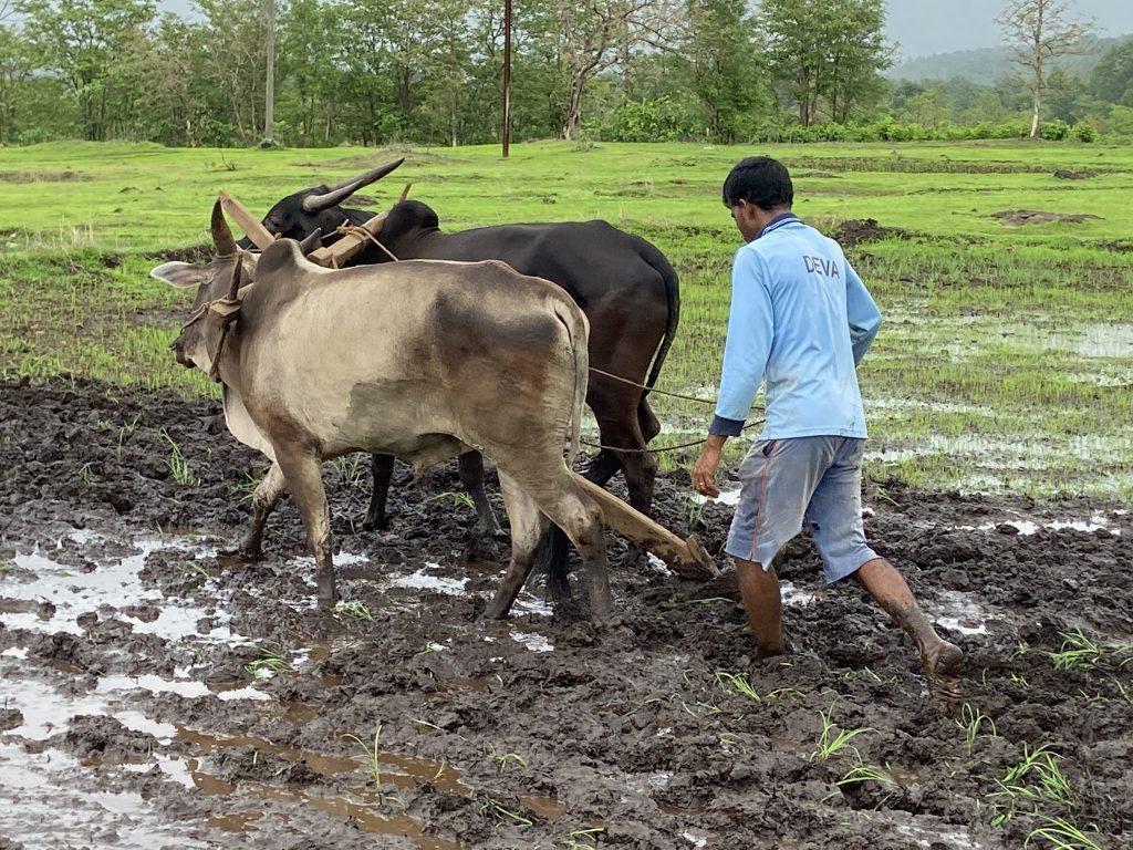 Appreciating Their Contribution On Farmers’ Appreciation Day