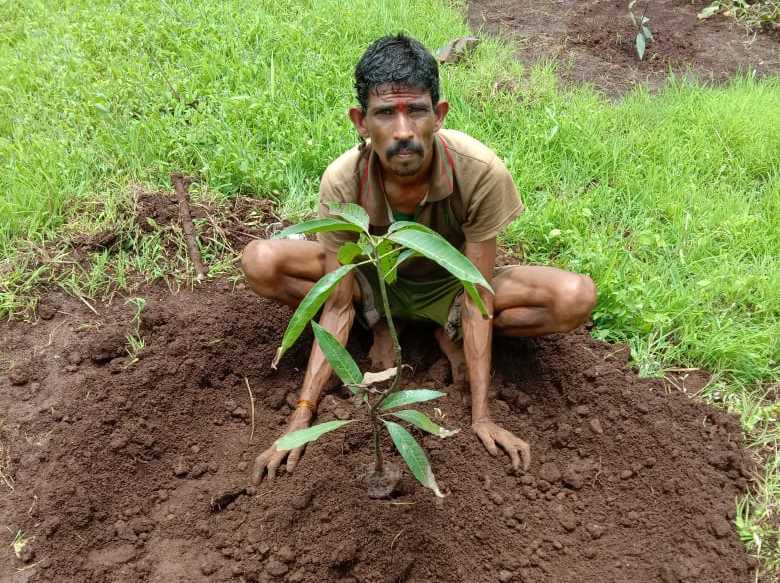 Plant A Caretaker