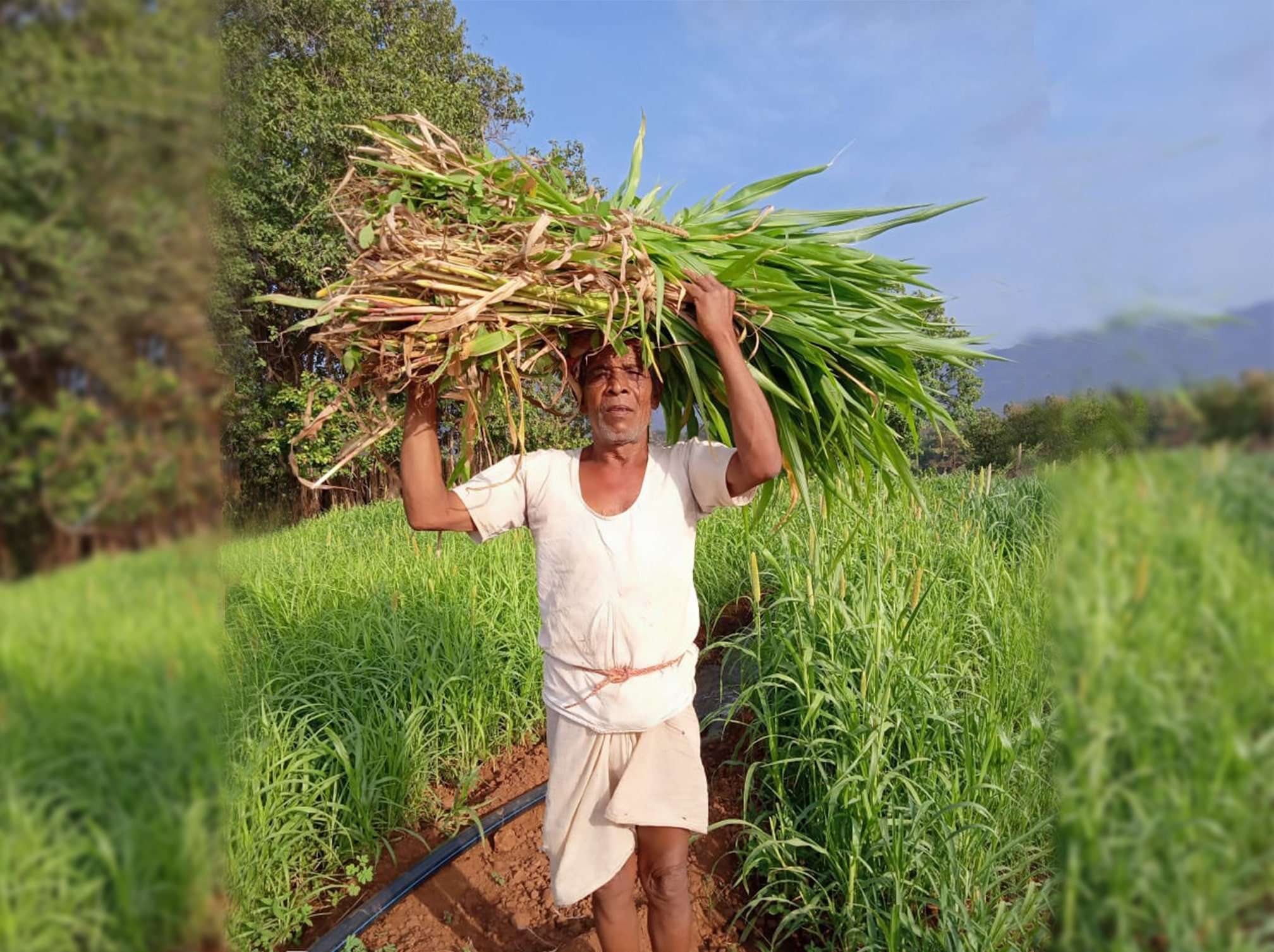 Farmer Support